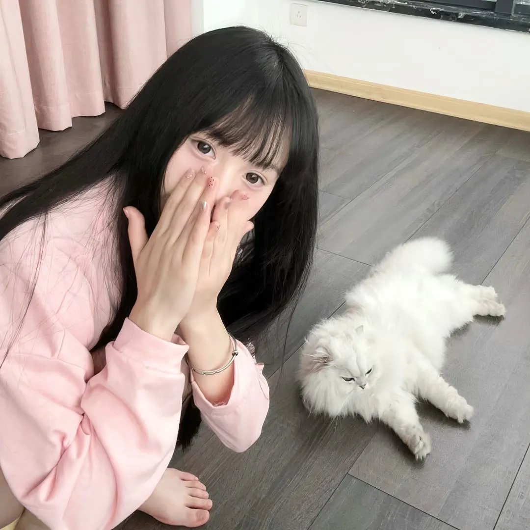 法证先锋4